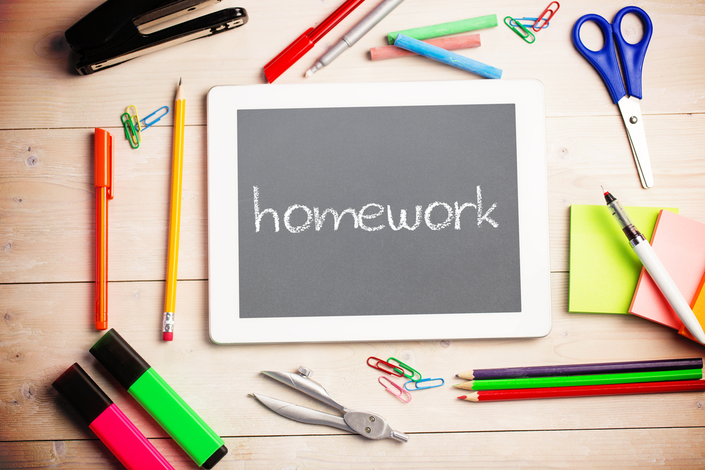 Homework: A Stepping Stone to Success logo